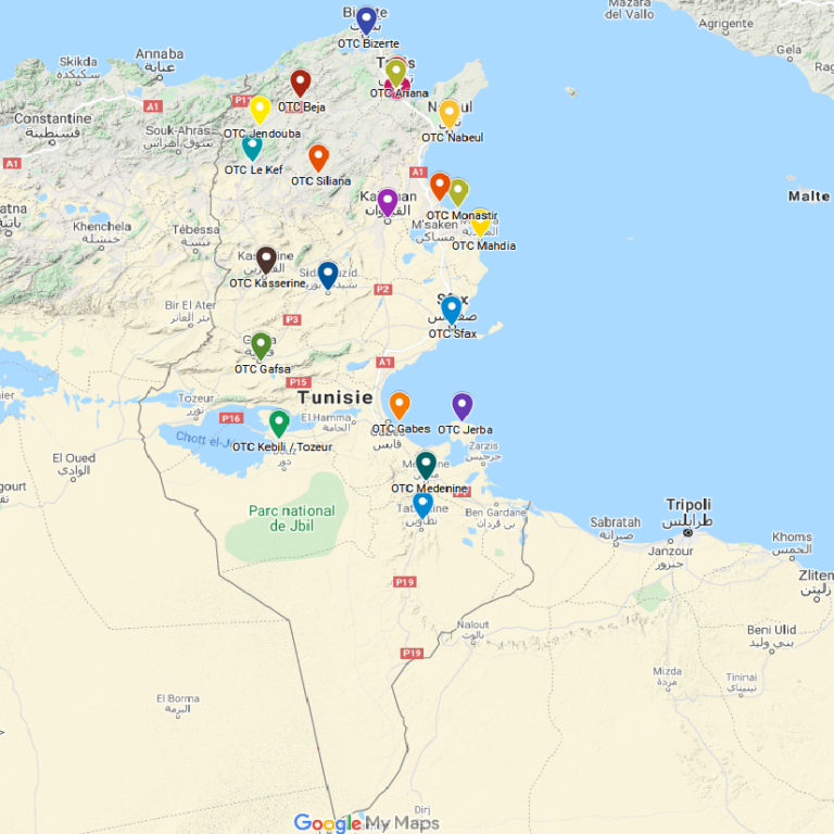 Maps Tunisie : développer des solutions cartographiques adaptées aux entreprises